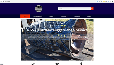 ngs-ulmer.de